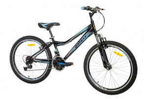 Favorit FOSTER 4.0 24 crn plav