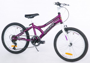 Favorit CTB CASPER 20 purple