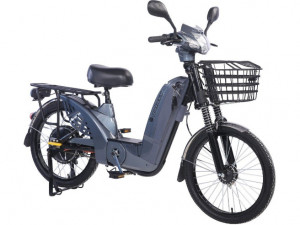 Favorit 22 GLX-A-3 Siva