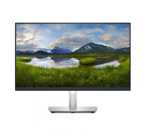 Dell P2423D