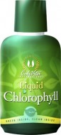 Liquid Chlorophyll (473 ml)