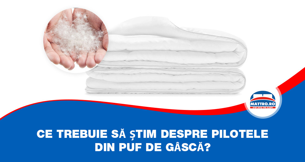 Ce trebuie să știm despre pilotele din puf de gâscă?