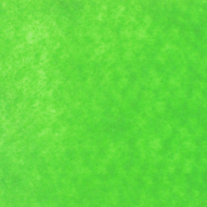 Pasla tare 2mm 49,5x50cm