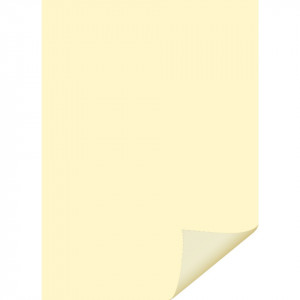 Carton color 50x70cm 200g MP PN4