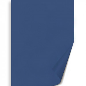Hartie 50x70cm 130g Meyco 272