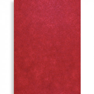 Pasla tare rosie A4 x 2mm