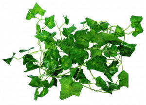 Ghirlanda cu frunze iedera verde 8,5x8,5cm lungime 2,2m