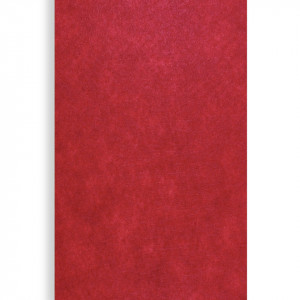 Pasla tare rosie 46x100cm x 2mm PA1834