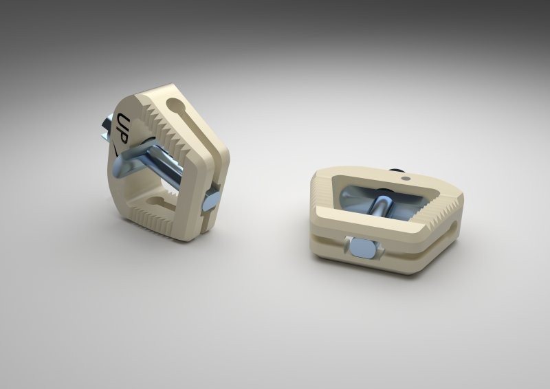 ARION, Cage Vertebral cervical expandabil