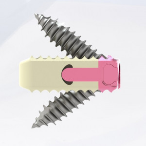 TITANOPEEK - Cage Vertebral Cervical cu suruburi de prindere si profil anatomic