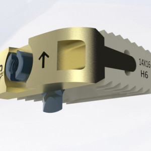 EOS Hybrid, Cage Vertebral cervical din PEEK