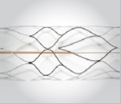 APERIO si APERIO HIBRID, Stent Trombectomie Mecanica ( pentru eliminarea cheagurilor, trombilor din sange)