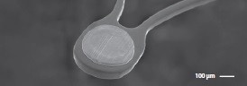 ACCLINO, stent pentru tratamentul anevrismelor intracraniene