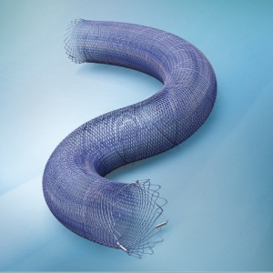 MINI DERIVO, dispozitiv de ebmolizare (Flow Diverter) tratarea anevrismului intracran