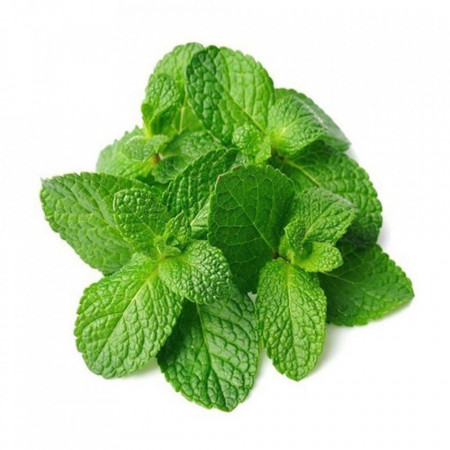 Menta Calitatea I 70g