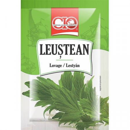 Cio Leustean 6g