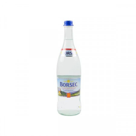 Borsec Apa Minerala Carbogazoasa 0,75ml