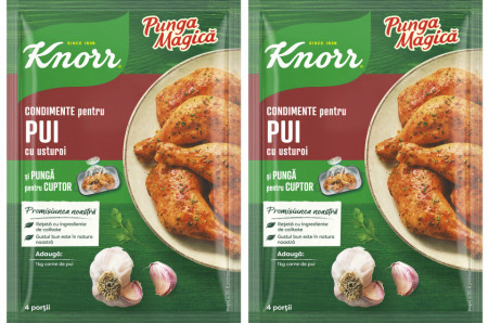 Knorr Punga Magica Mix de Condimente pentru Pui cu Usturoi 28g 1+1 -50%