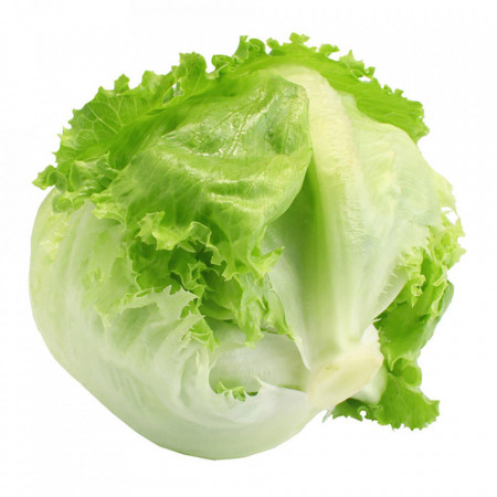Salata Iceberg Calitatea I