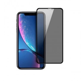 Folie de sticla 5D Apple iPhone X, Privacy Glass, folie securizata duritate 9H