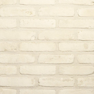 Placaj ceramic klinker Domus Duifwit
