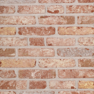 Placaj ceramic klinker Belle Epoque de Mons