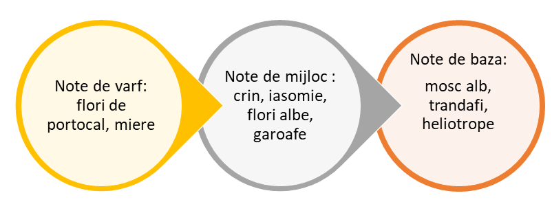 lutos flower note