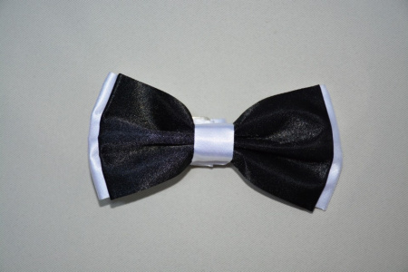 Papion fashion cu aspect lucios, diferite modele si culori clasice