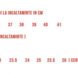 Pantof bej, clasic, cu toc gros de 6,5 cm inaltime si varf rotund