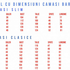 Camasa barbateasca casual ,model simplu,nuanta de albastru