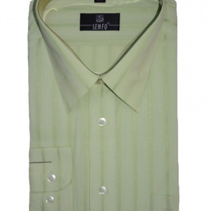 Camasa de culoare verde deschis, cu rever ascutit, design in dungi