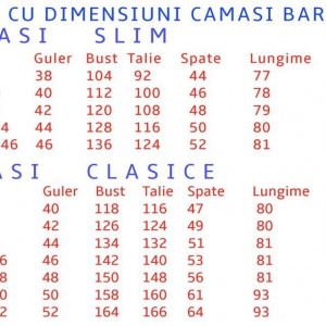 Camasa de barbati, pe fond alb cu imprimeu albastru