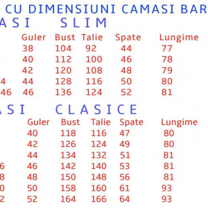 Camasa office, carouri, bicolora cu nasturi delicati