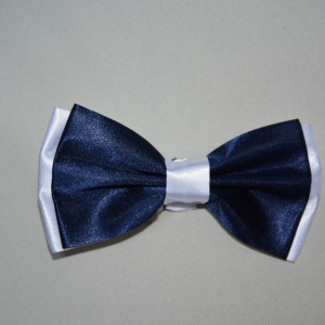 Papion fashion cu aspect lucios, diferite modele si culori clasice