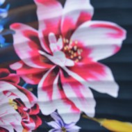 Bluza casual-elegant cu design de flori si dungi pe fond negru