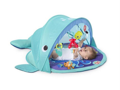 Bright Starts - Salteluta de activitati Explore & Go Whale