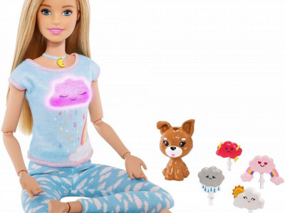 Set Barbie by Mattel Wellness and Fitness papusa mediteaza