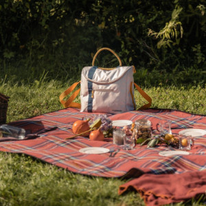 Geanta termoizolanta Campingaz Jasmin 17l