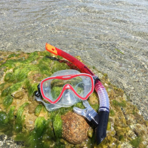 Set de snorkeling 2 componente pentru adulți "Fiji" Schildkröt - 940012