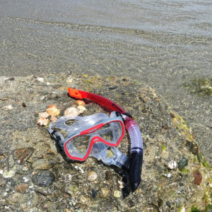 Set de snorkeling 2 componente pentru adulți "Fiji" Schildkröt - 940012