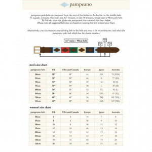 Curea din piele Pampeano Colegio 100 cm chart