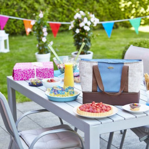 Geanta termoizolanta Campingaz Entertainer 18l