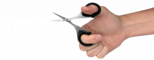 Foarfeca Kershaw Skeeter 3 - KS1216X proportii in mana