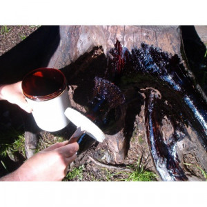 Atractant Gobel gudron Mistret si Cerb 2.5l