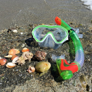Set Snorkeling Junior "Bermuda" Schildkröt - 940001
