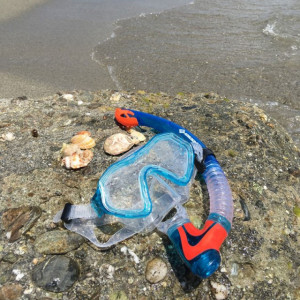 Set Snorkeling 2 componente "Barbados" Junior Schildkröt - 940011