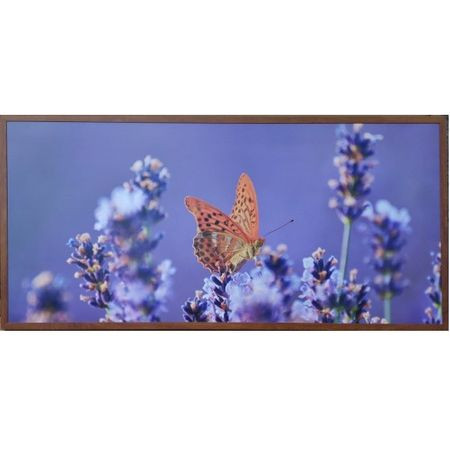 Panou Radiant Dragus imagine FLUTURE 600w (500w) 90/60