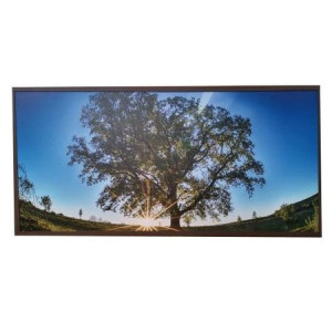Panou Radiant Dragus imagine COPAC 900w (700w) 125/60