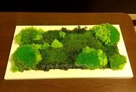 Tablou vegetal 2 din mușchi și licheni naturali, stabilizați, de calitate superioară - 55 cm x 25 cm