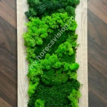 Tablou vegetal 4 din mușchi și licheni naturali, stabilizați, de calitate superioară - 42 cm x 24 cm